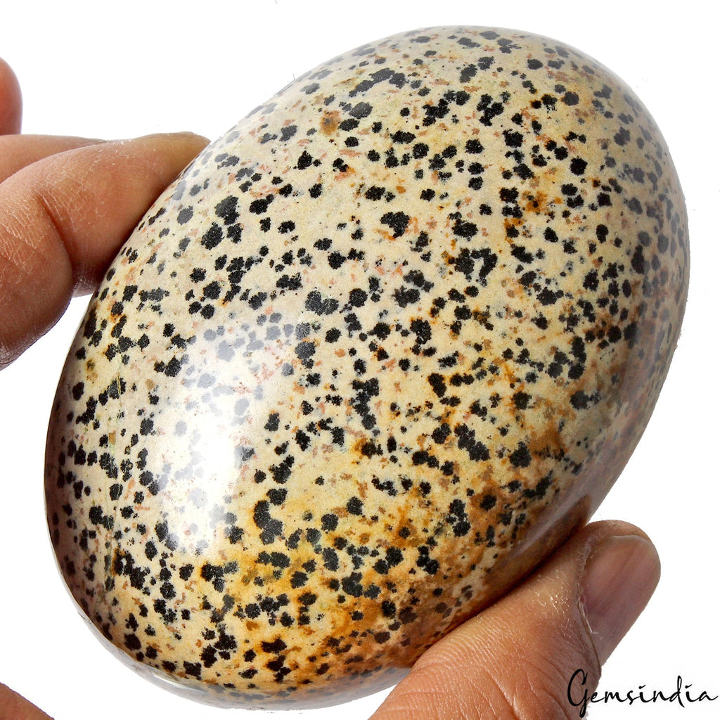 1290 Ct Natural Untreated Dalmatian Jasper Black spotted Oval Cabochon Gemstone