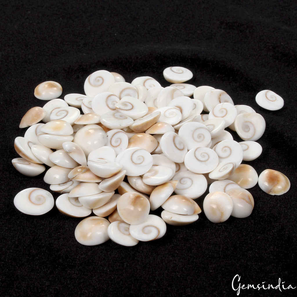300 Ct/100 Pcs Natural Gomti Chakra Shiva Eye Shell Cab Loose Wholesale Gems Lot