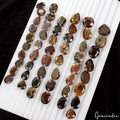 700 Ct/51 Pcs Natural Untreated Brown Sapphire Mix Cut Loose Ring Size Gemstones