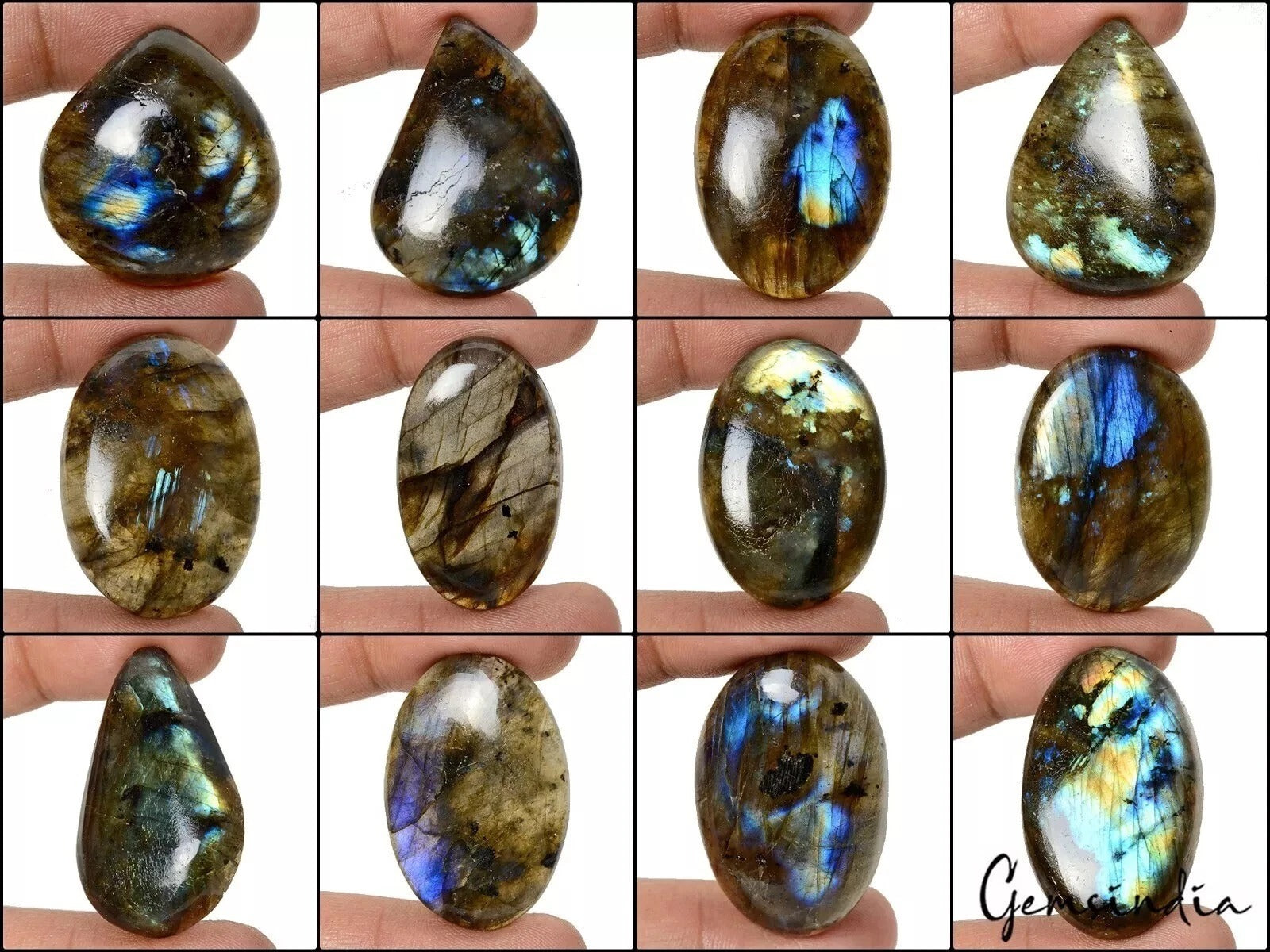 820 Ct Natural Untreated Multi Shine Labradorite Mix Cab Loose Gemstone Lot 12Pc