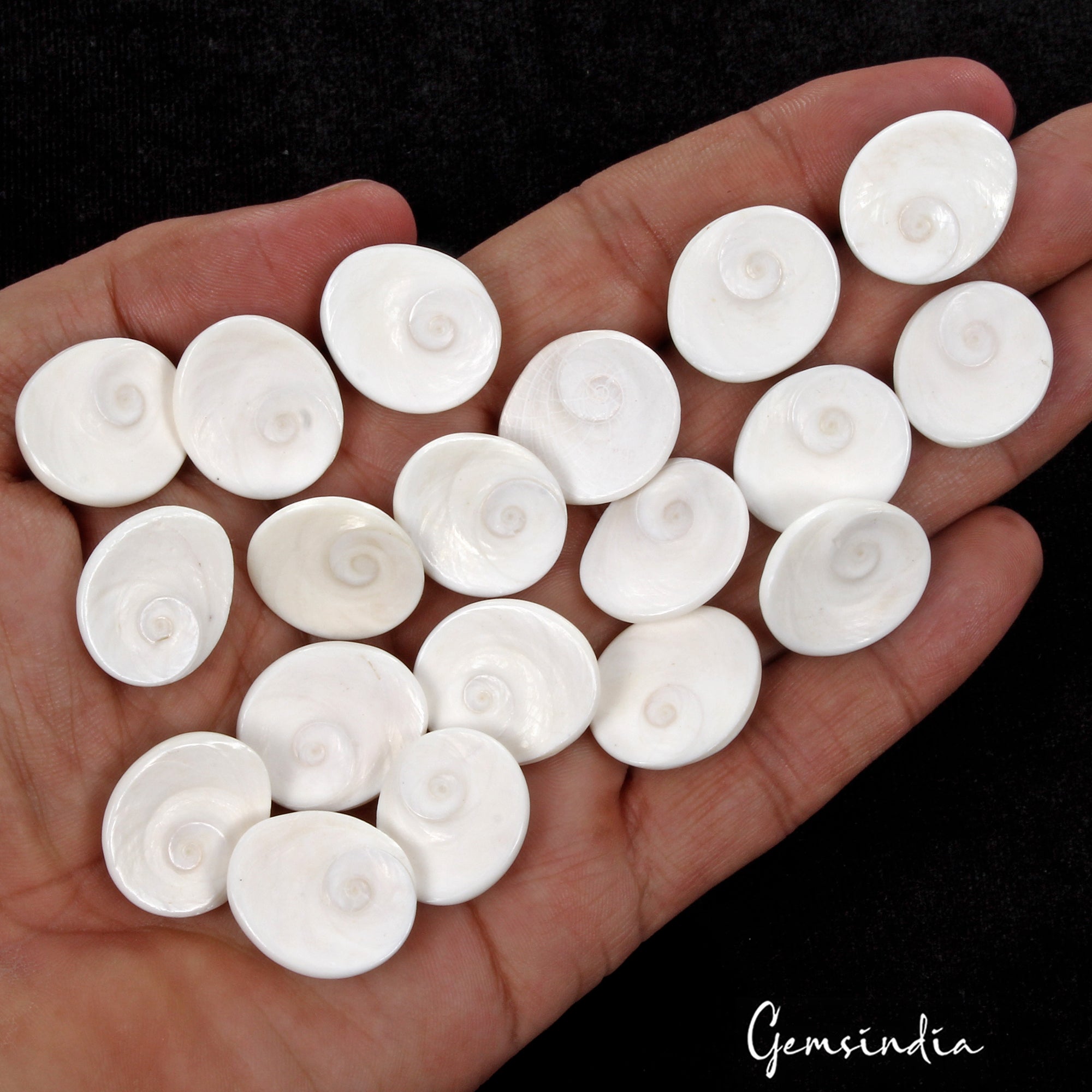 330 Cts/19 Pcs Natural Untreated Gomti Chakra Round Cab Loose Gems For Jewelry