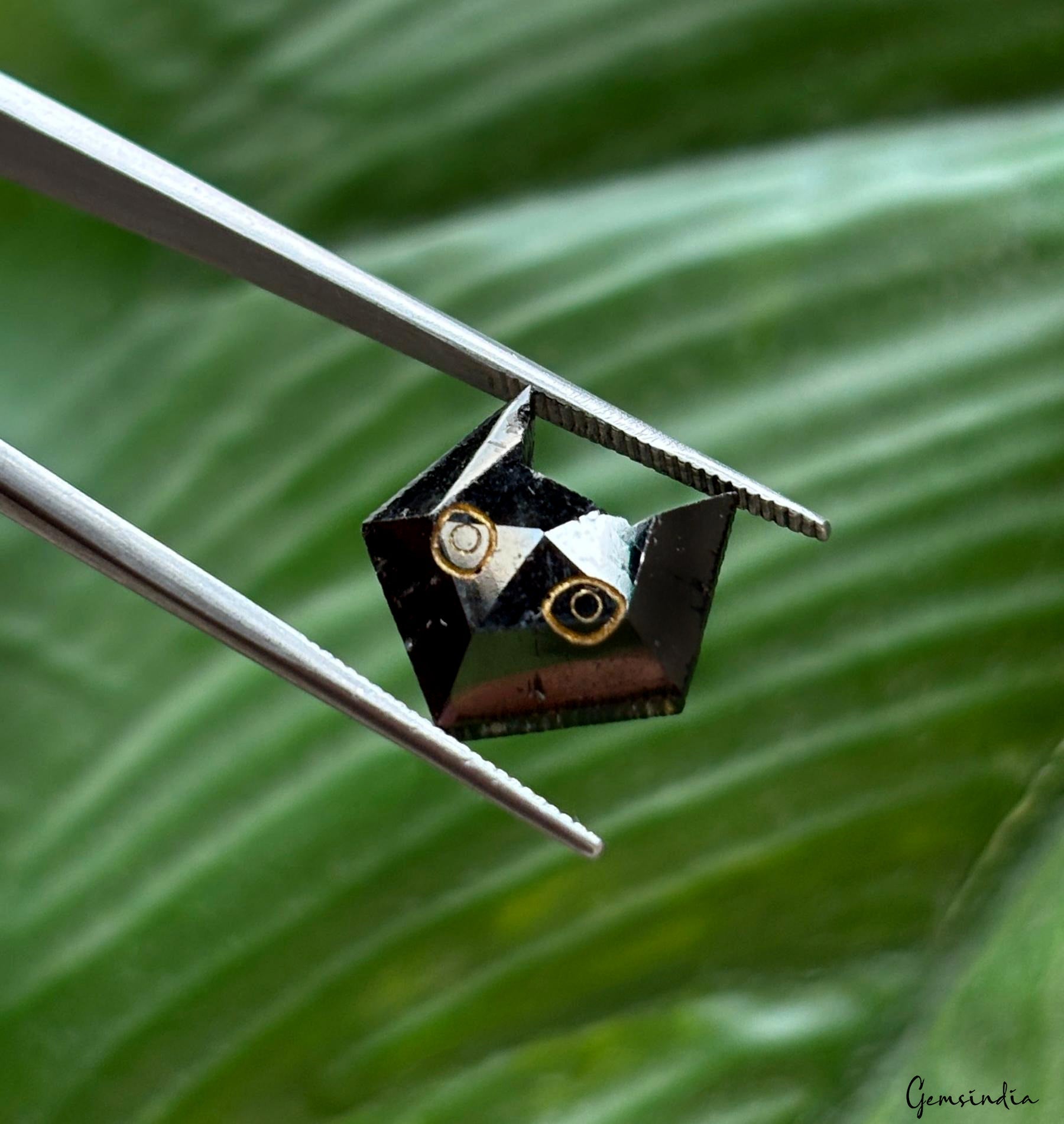 6.5ct Rare Cat Face Carving 100% Natural Earth Mined Loose Genuine Black Diamond