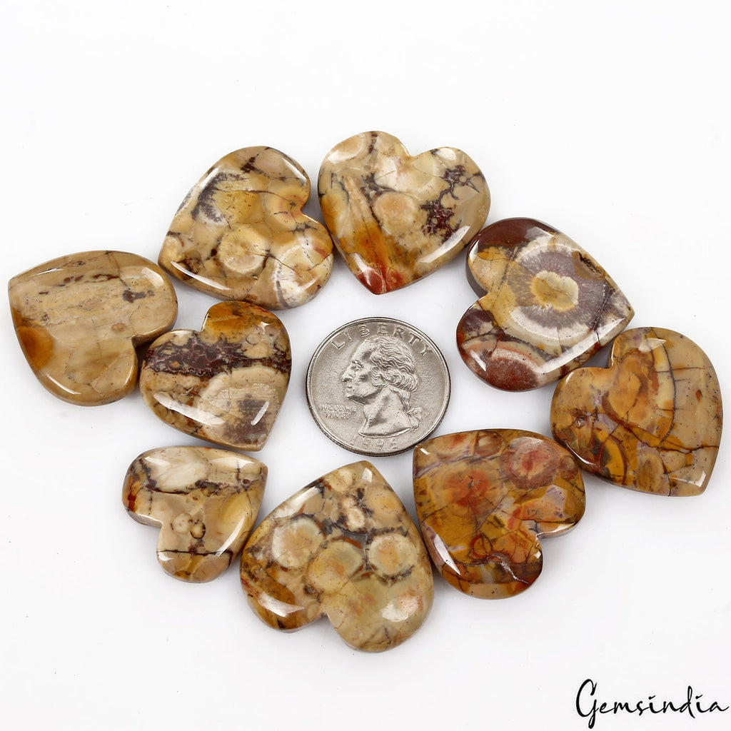 340 Ct/9 Pcs Natural Untreated Rhyolite Jasper Bird's Eye Heart Shape Gemstones