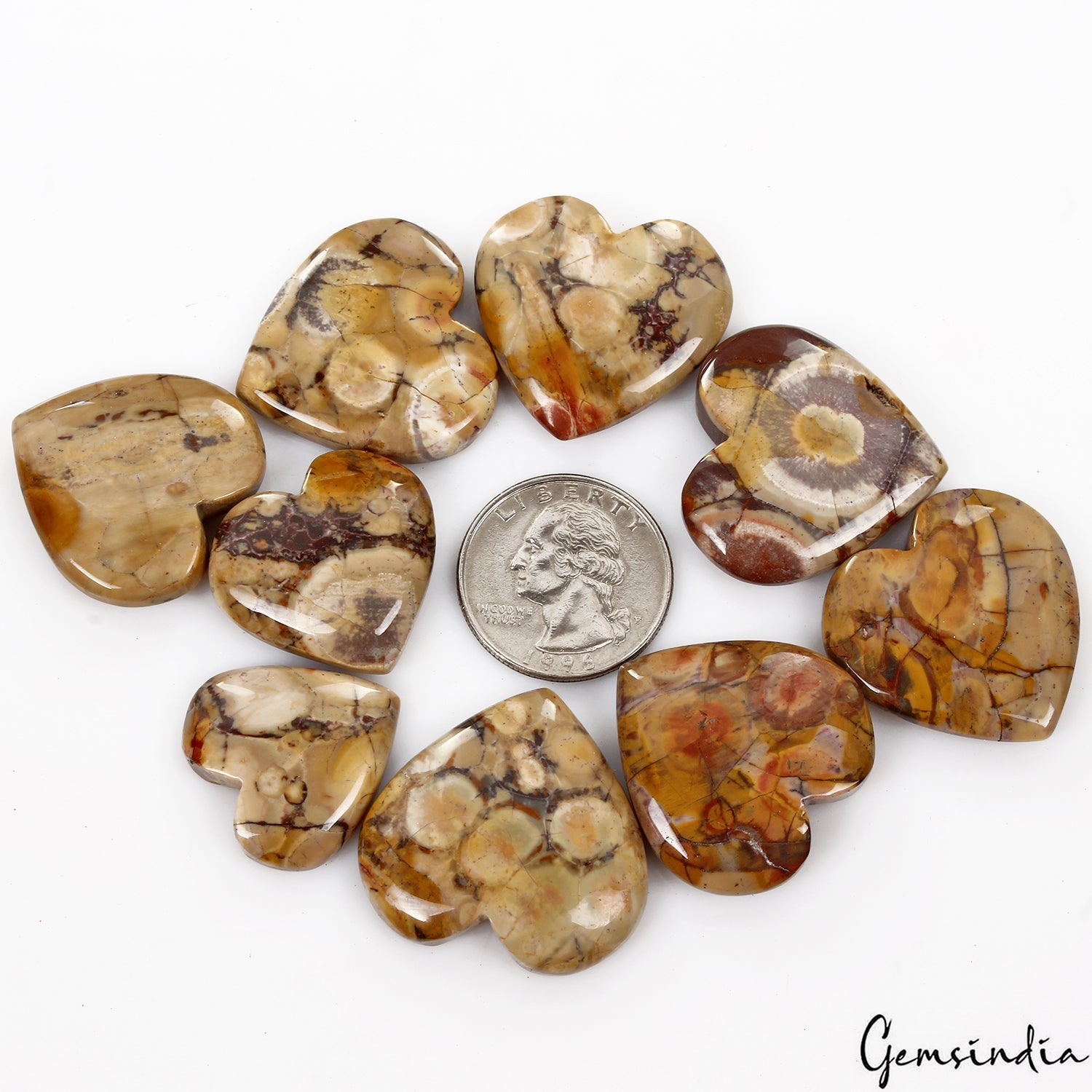 340 Ct/9 Pcs Natural Untreated Rhyolite Jasper Bird's Eye Heart Shape Gemstones