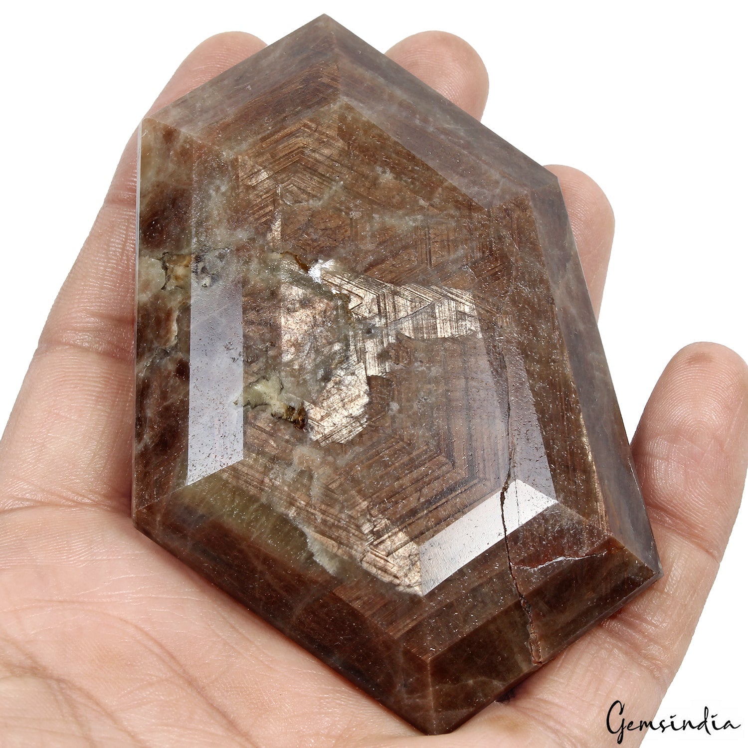 1390 Ct Natural Untreated Brown Sapphire Fancy Cut Earth Mined Huge Size Gems