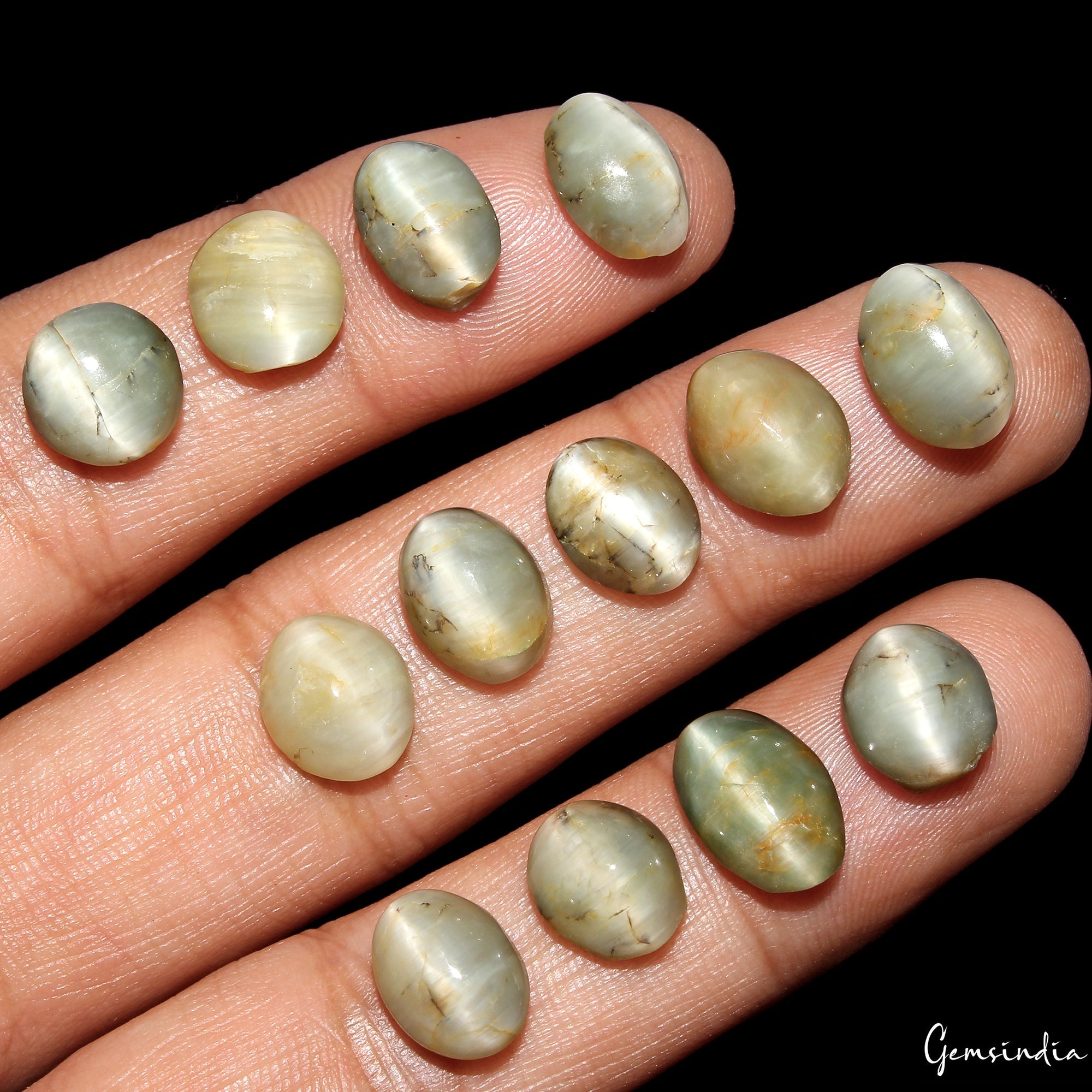 48.50 Cts Natural Chrysoberyl Green Cats Eye Oval Cabochon Loose Gemstones~13 Pc