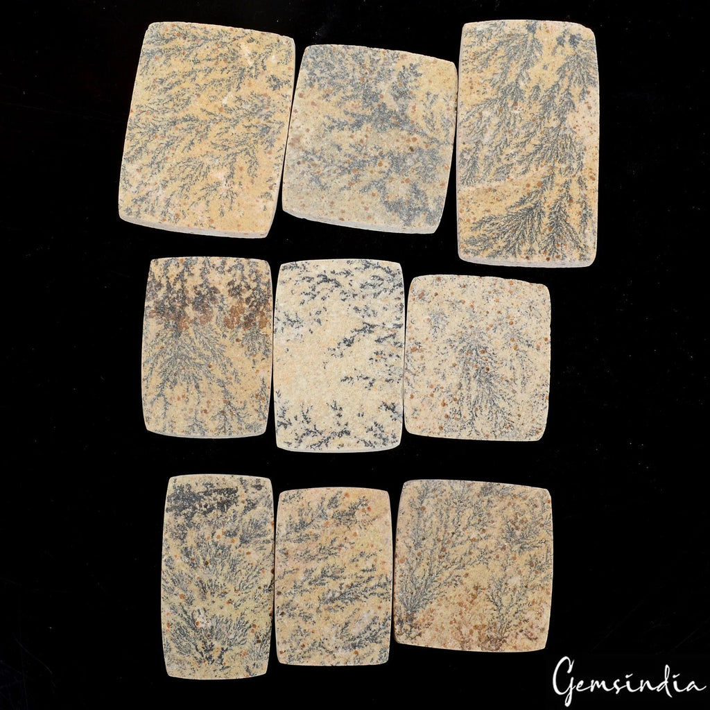 Psilomelane Lot, Cabochon, Untreated — 9 Pieces, 35mm to 54mm, 540 Ct