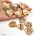 850 Ct/11 Pcs Natural Untreated Picture Jasper Heart Cab Loose Gems For Jewelry