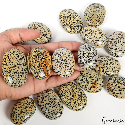 1 Kg Dalmation Jasper Crystal Palm Sones Polished Natural Gemstones Healing 16Pc