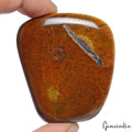 Tiger Eye Cabochon, Untreated, Red — 61x52x11mm, 360 Ct, Madagascar