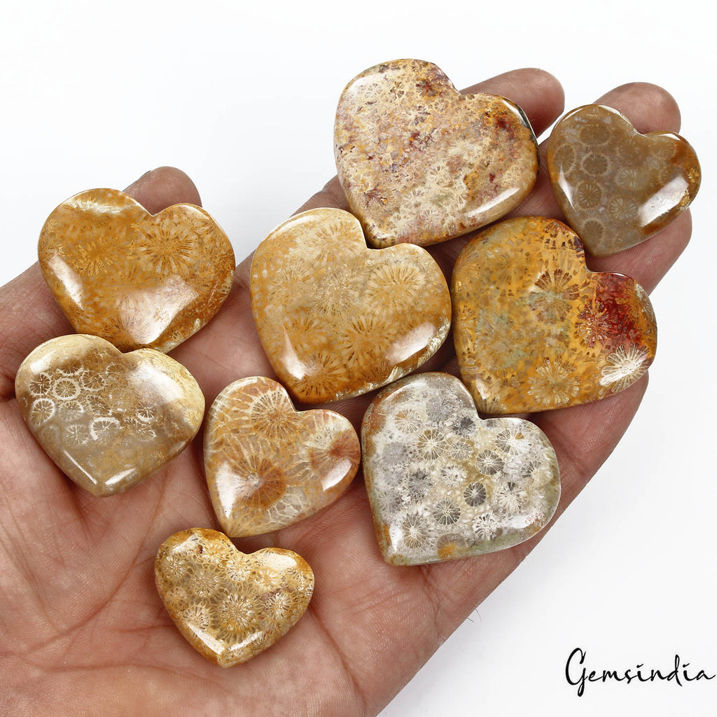 Coral Lot, Cabochon, Untreated — 9 Pieces, 24mm to 38mm, 750 Ct, Madagascar