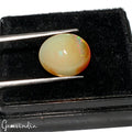 4.80 Cts Natural Ethiopian Opal 14x12x6mm Oval Flashy Untreated Loose Gemstone