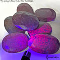 Natural Untreated Red Ruby Lot 2600 Ct Oval Cut Loose Huge Gemstones 52-66mm/7Pc