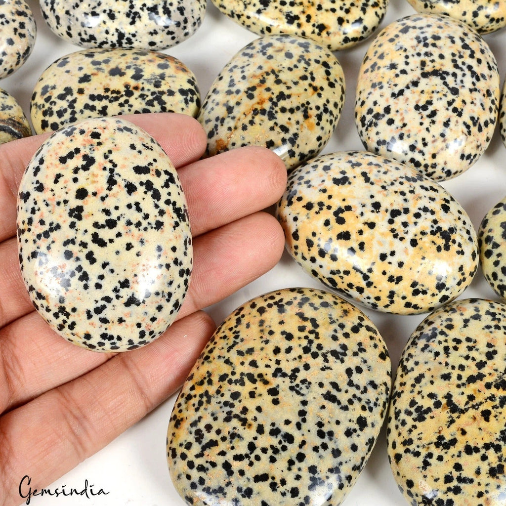 1 Kg Dalmation Jasper Crystal Palm Sones Polished Natural Gemstones Healing 16Pc
