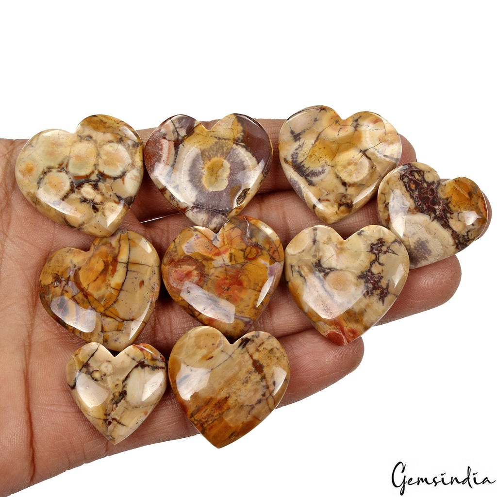 340 Ct/9 Pcs Natural Untreated Rhyolite Jasper Bird's Eye Heart Shape Gemstones