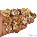 340 Ct/9 Pcs Natural Untreated Rhyolite Jasper Bird's Eye Heart Shape Gemstones