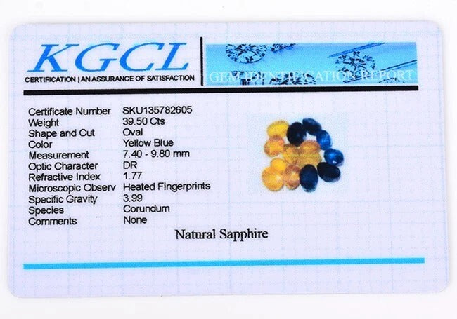 Certified 39.50 Cts/14 Pcs Natural Ceylon Yellow Blue Sapphire Oval Cut Gems Lot