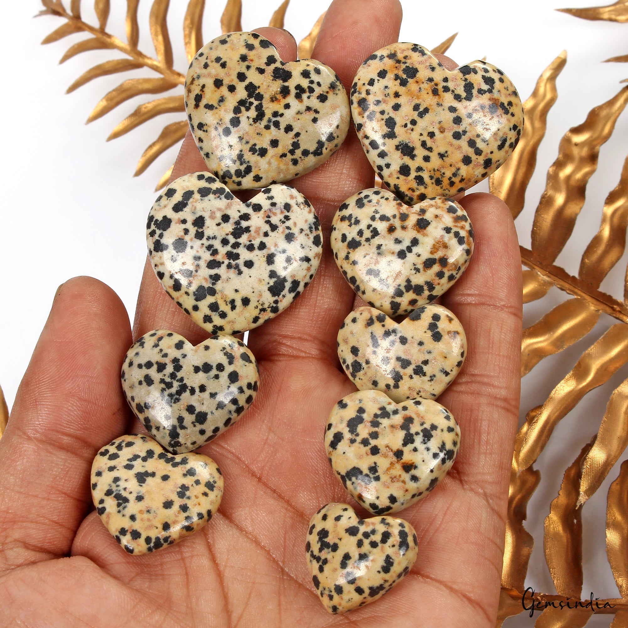 530 Ct Dalmatian Jasper Loose Ethical Gemstone Jewelry Making Heart Cabochon 9Pc