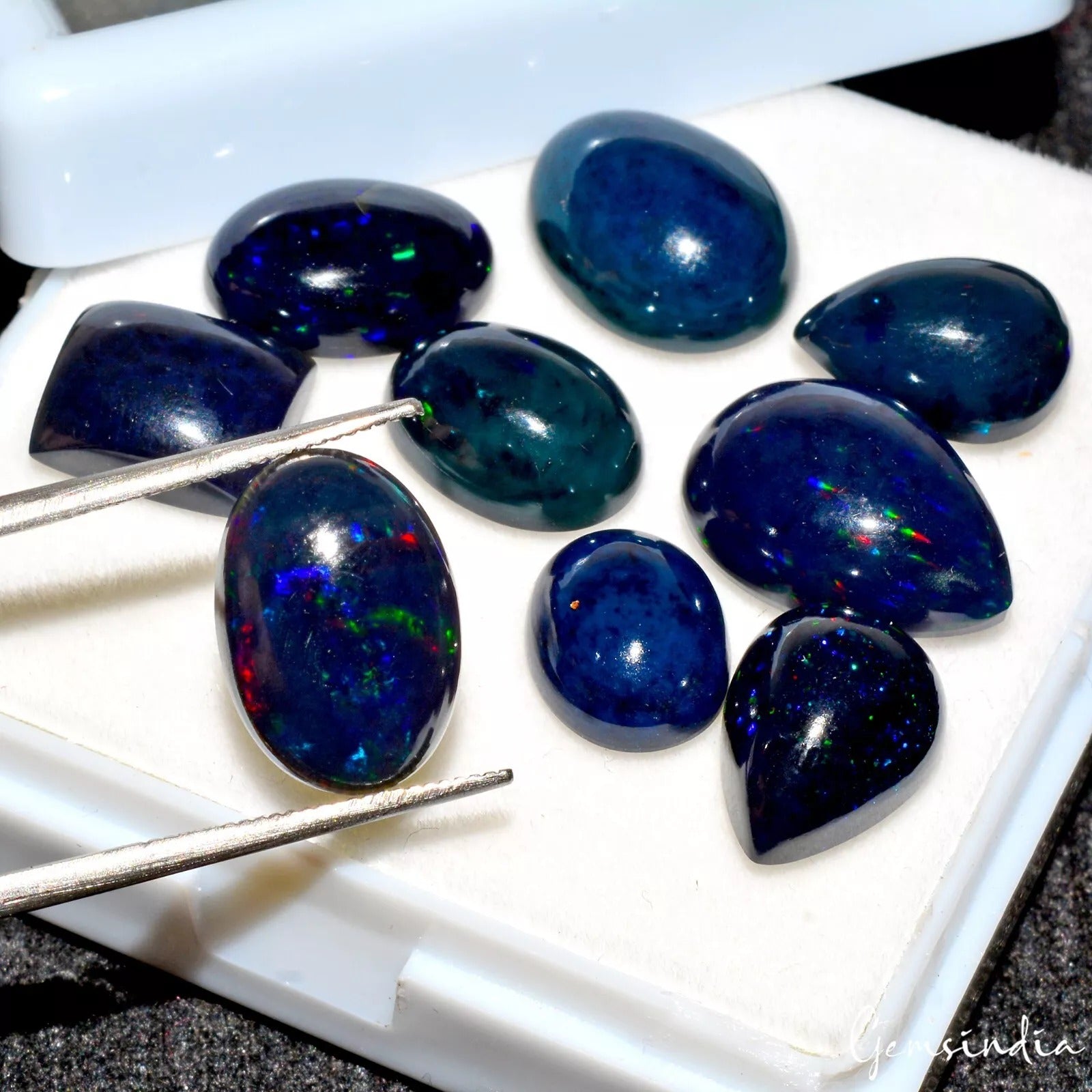 Black Opal Lot, Loose Gemstone — 9 Pieces, 10mm to 15mm, 24.50 Ct, Ethiopia