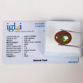 IGL&I Certified 6.50 Cts Natural Black Opal W/ Green Fire oval Cab Gem For Ring