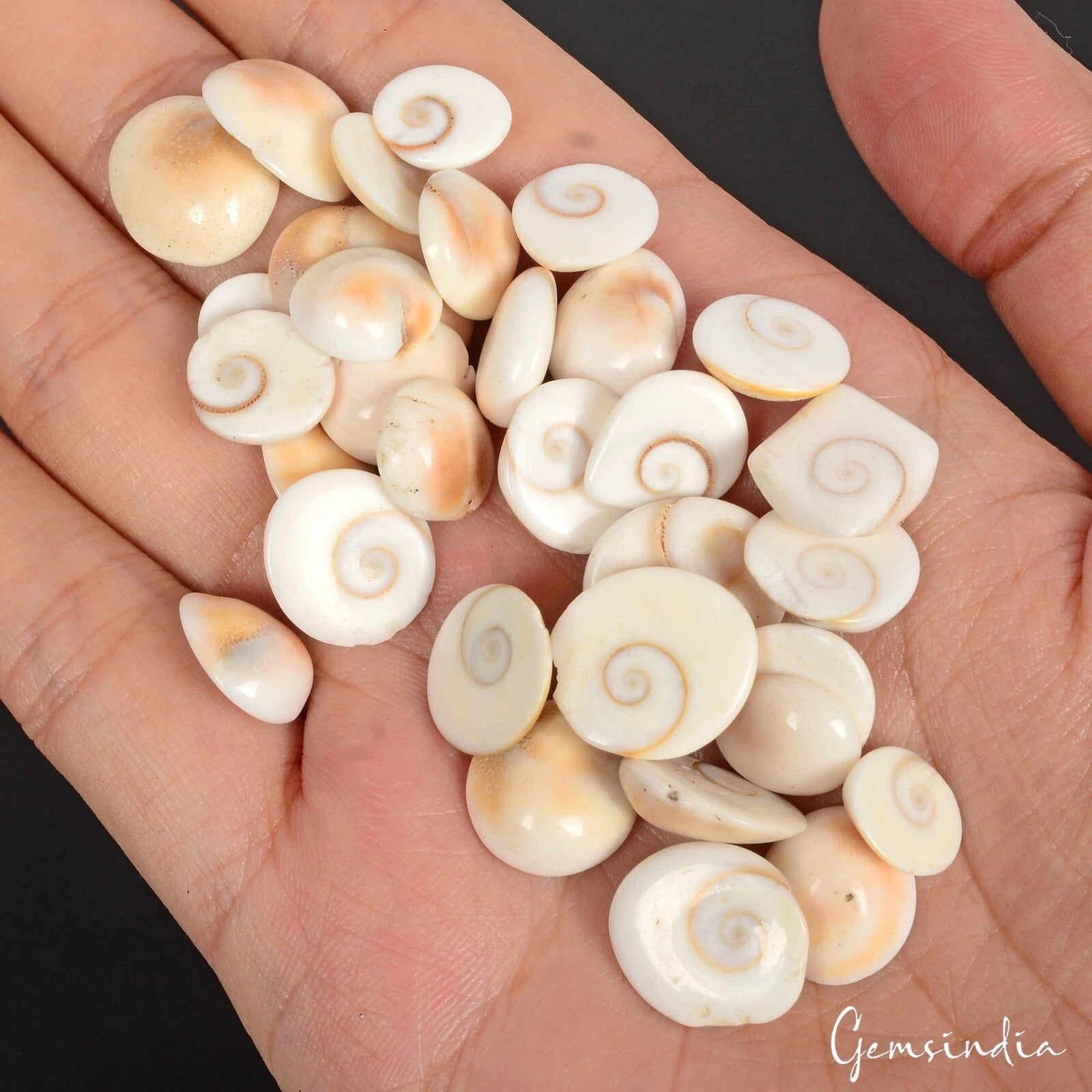Gomti Chakra Lot, Loose Gemstone, White — 32 Pieces, 9mm to 16mm, 150.00 Ct