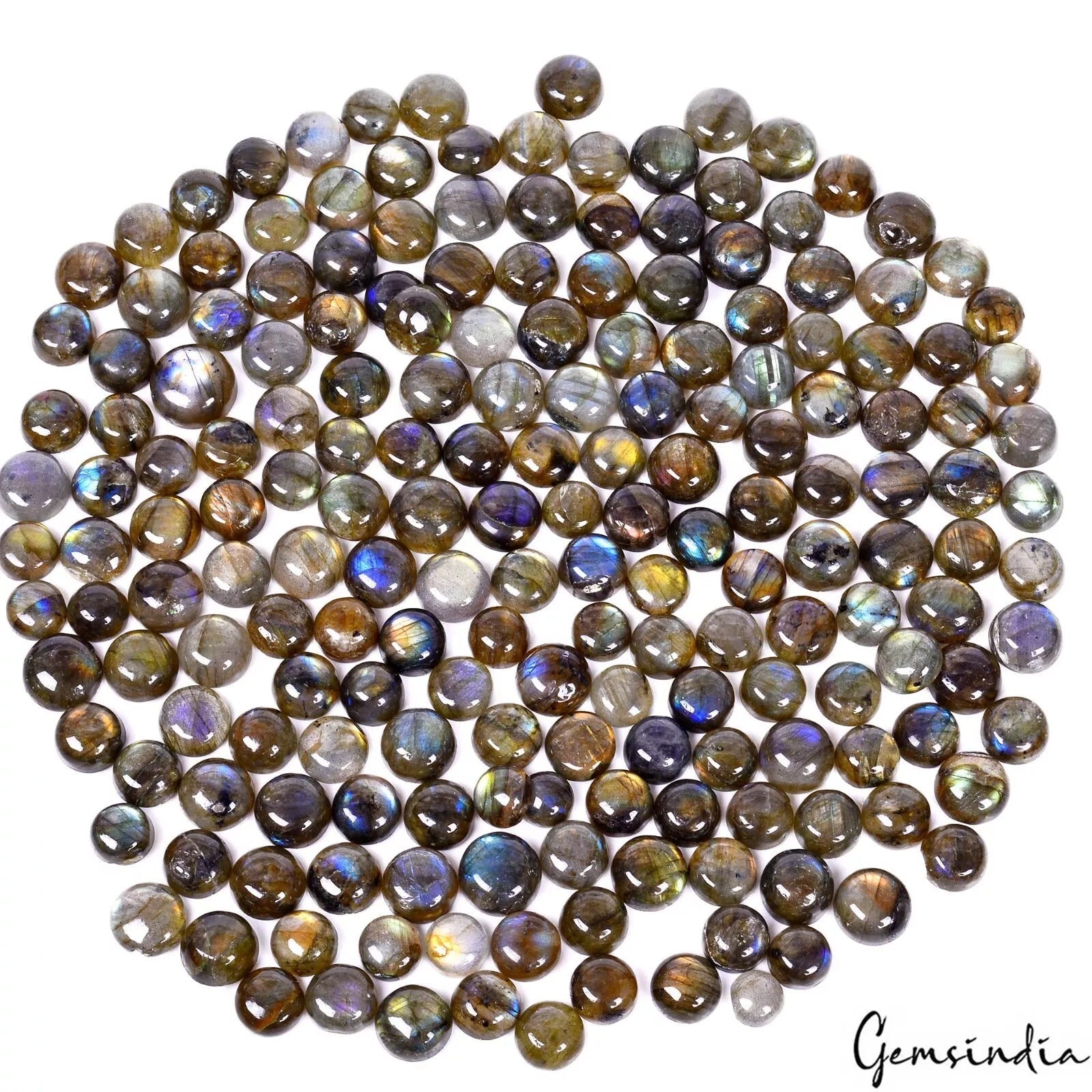 800 Ct/191 Pcs Natural Untreated Multi Shine Labradorite Round Cab Loose Gem Lot