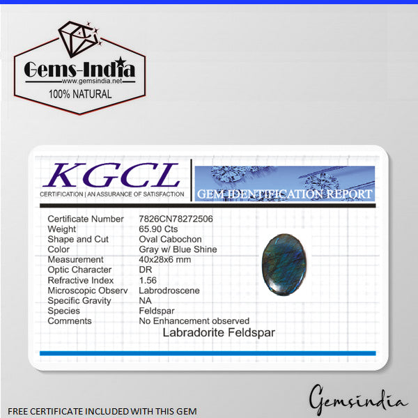 65.90 Cts Bright Stone Blue Power Spectrolite Labradorite Cabochon Certified Gem