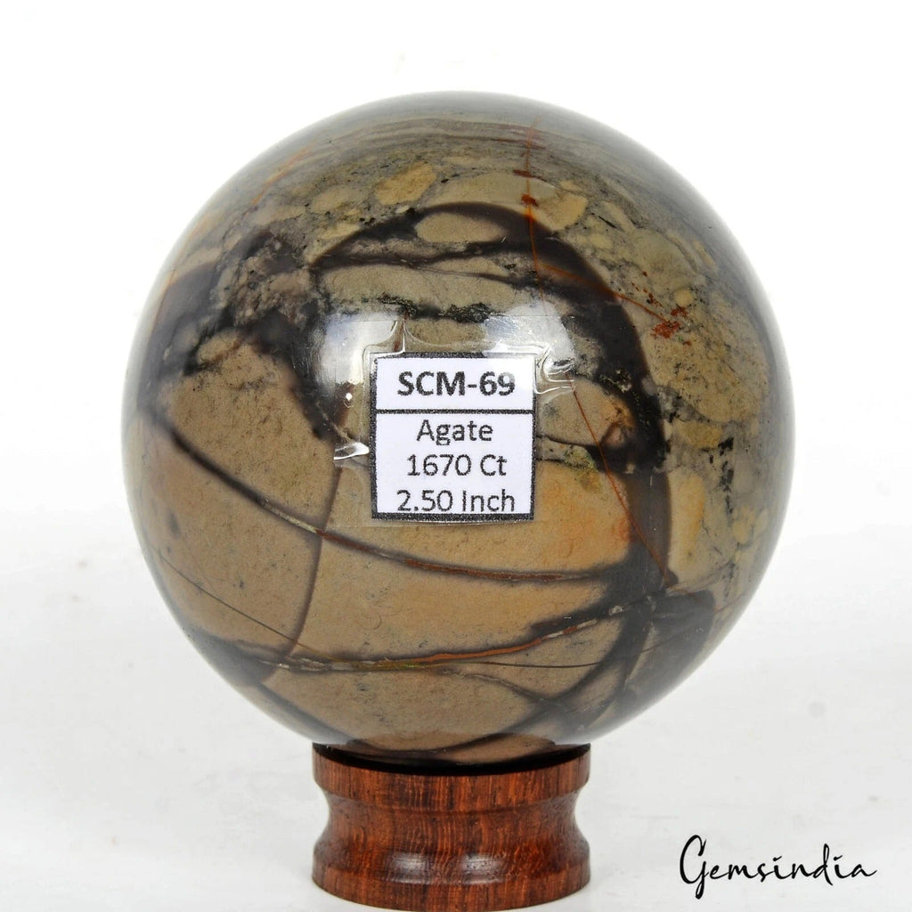 1670 Cts Natural Forest Agate Reiki Healing Crystal Mineral Huge Gem Sphere/Ball