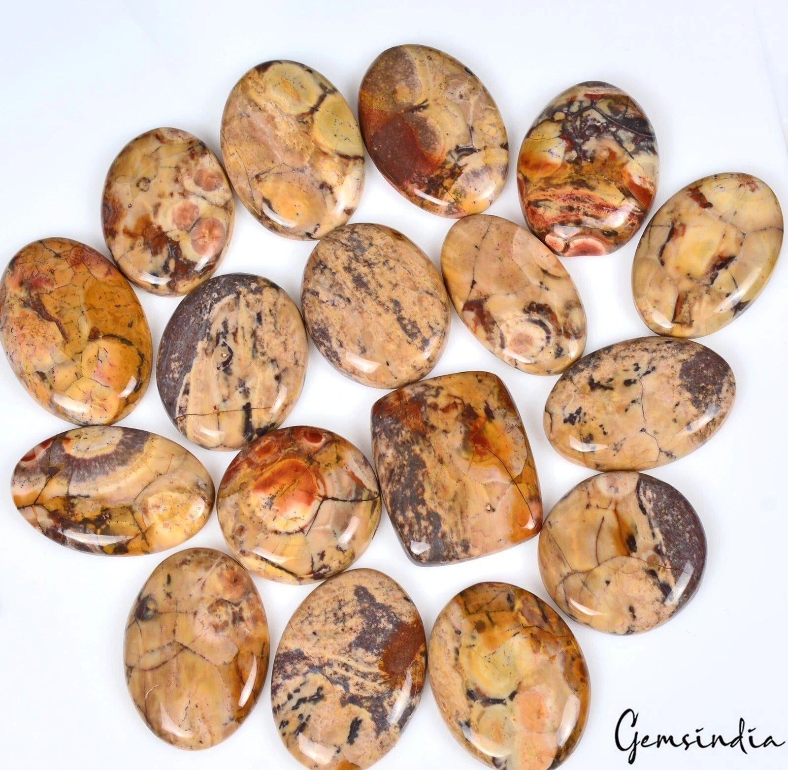 Jasper Lot, Cabochon, Untreated — 17 Pieces, 24mm to 33mm, 500 Ct