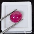 Ruby Cabochon, Heated, Red — 12x10x6mm, 8.30 Ct, Mozambique