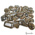 1550 Ct/24 Pcs Natural Untreated Leopard Pattern Sapphire Mix Cut Loose Gems Lot