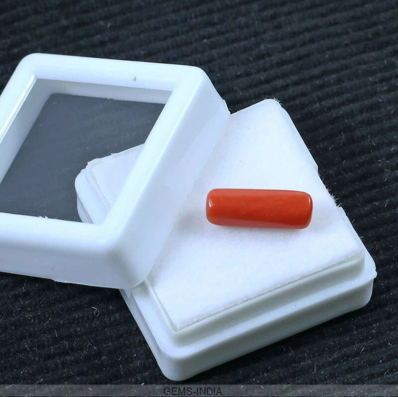 Certified 2.40 Ct Natural Untreated Precious Italian Red Coral Capsule Shape Gem