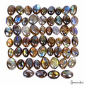 530 Ct/57 Pcs Natural Untreated Multi Color Shine Labradorite Mix Cab Loose Gems