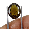 7.80 Ct 14x11mm Certified Oval Natural Green Tourmaline Unheated Mozambique Gem