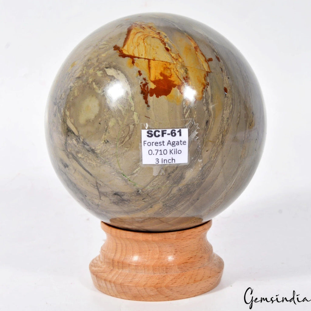3550 Cts Natural Untreated Forest Agate Huge Gem Sphere Healing Crystal Mineral