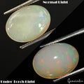 2.90 Ct Hardy STRONG! Natural Huge Yellow &Rainbow Color Sparkling Opal Ethiopia