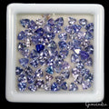 70 Pcs Natural Tanzanite 3-4mm Trillion Cut Dazzling Loose Wholesale Gemstones