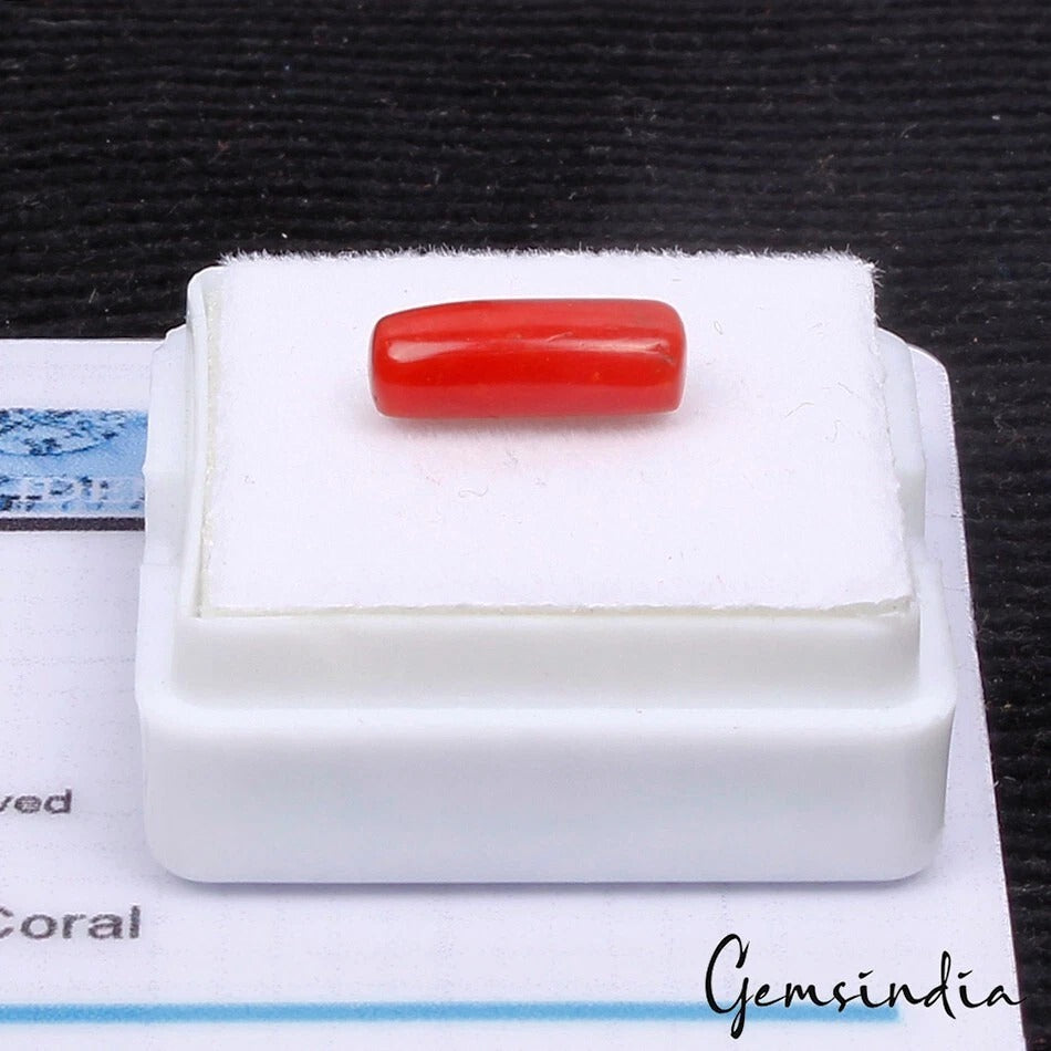 2.30 Ct Natural Italian Coral Mediterranean Sea Capsule Loose Gemstone Certified