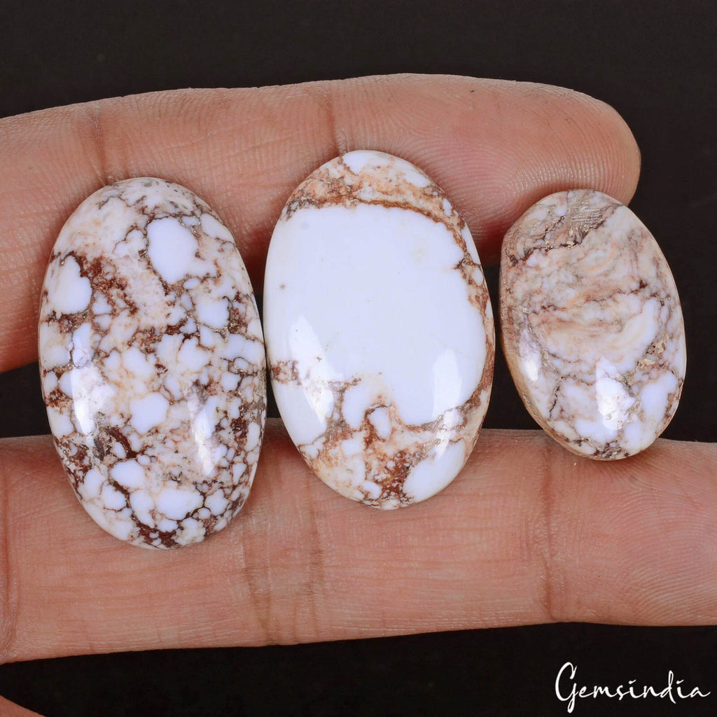 Turquoise Lot, Cabochon, Untreated, White — 3 Pieces, 24mm to 33mm, 96.00 Ct, India