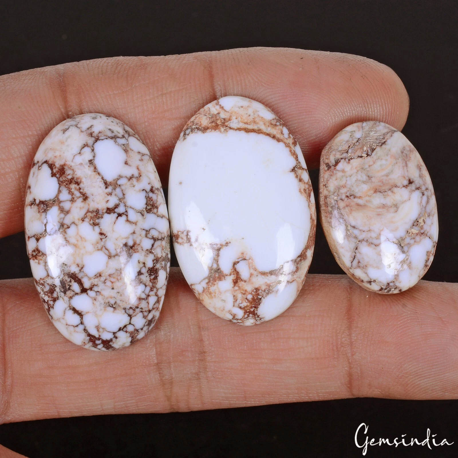 Turquoise Lot, Cabochon, Untreated, White — 3 Pieces, 24mm to 33mm, 96.00 Ct, India
