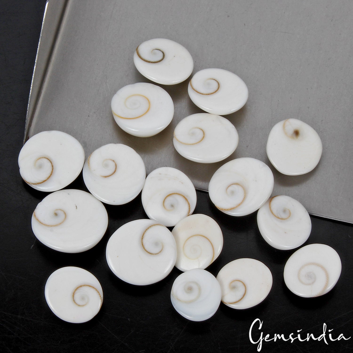 17 Pcs Natural Gomti Chakra 13mm-19mm Exclusive Top Quality Untreated Gemstones