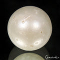 Huge 12mm Natural South Sea Genuine White Round Pearl Undrilled Jewelry Gemstone