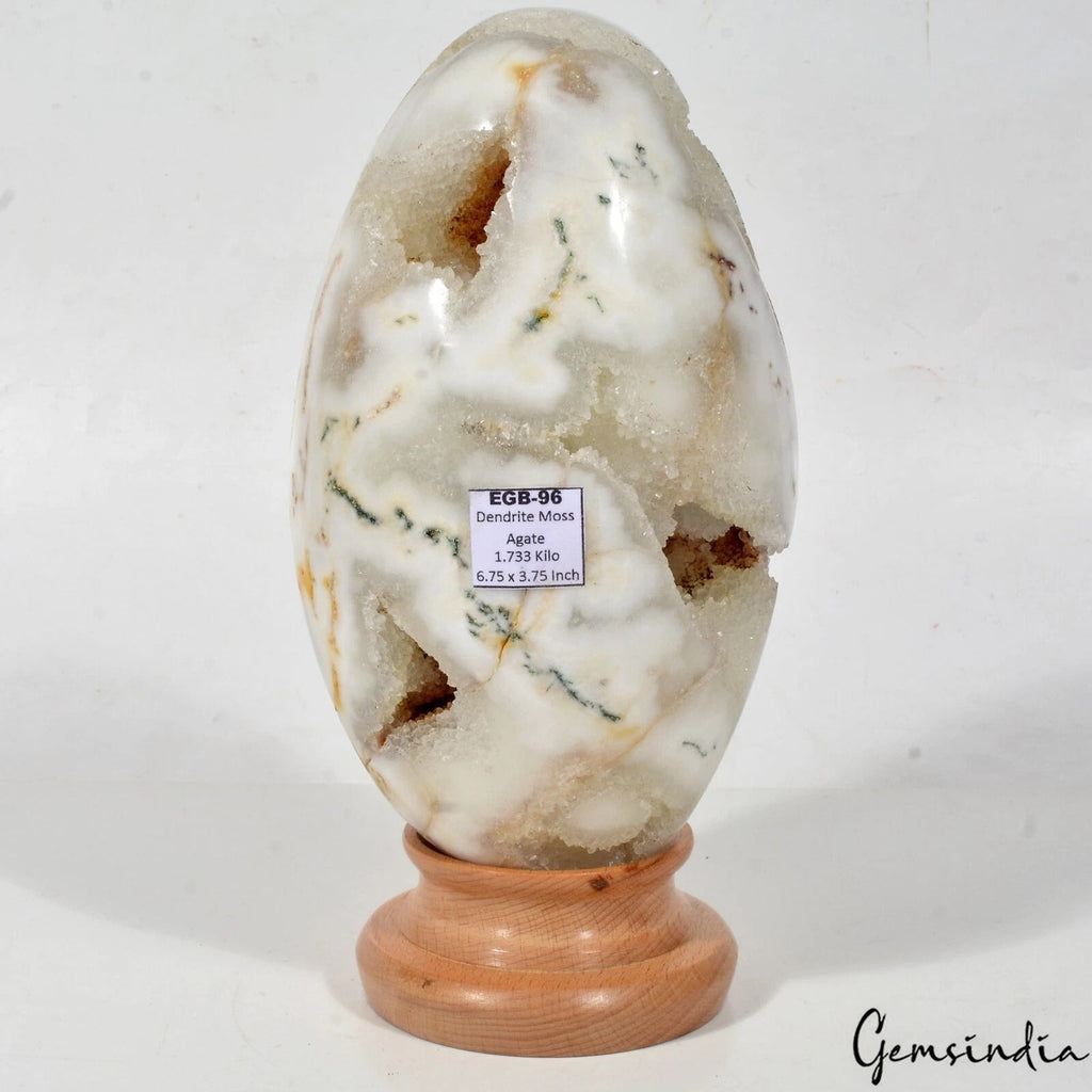 1.7 Kg Natural Dendrite Moss Agate Druzy Crystal Egg Geode Specimen Reiki Decor
