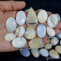 1450 Cts/51 Pcs Natural Untreated Dendrite Opal Loose Mix Cab Wholesale Gems Lot