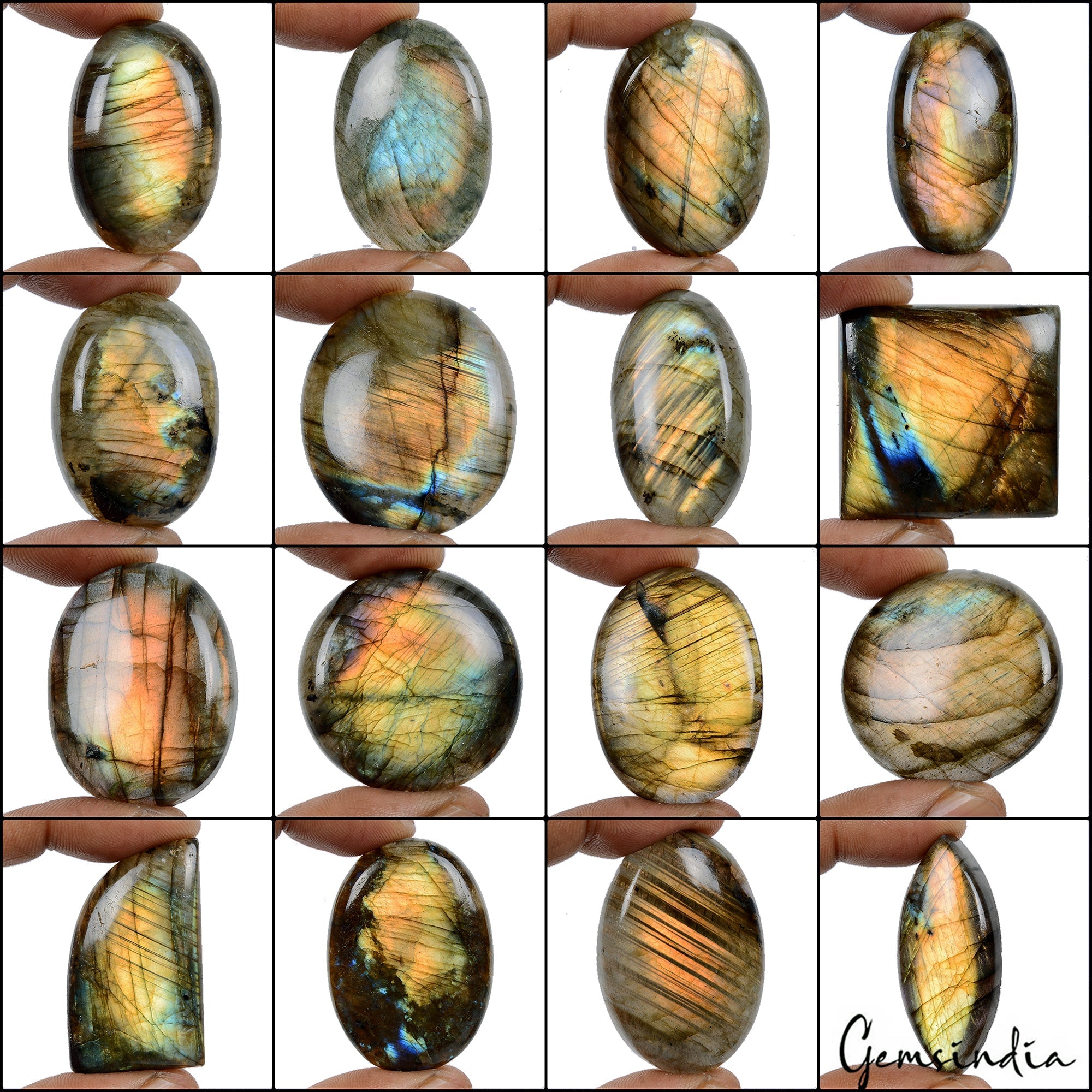 1420 Ct Natural Labradorite Golden Shine Mix Cabochon Loose Gemstones Lot~16 Pcs