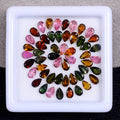 12.40 Ct/52 Pcs Natural Untreated Multi Color Tourmaline Pear Calibrated Gem Lot