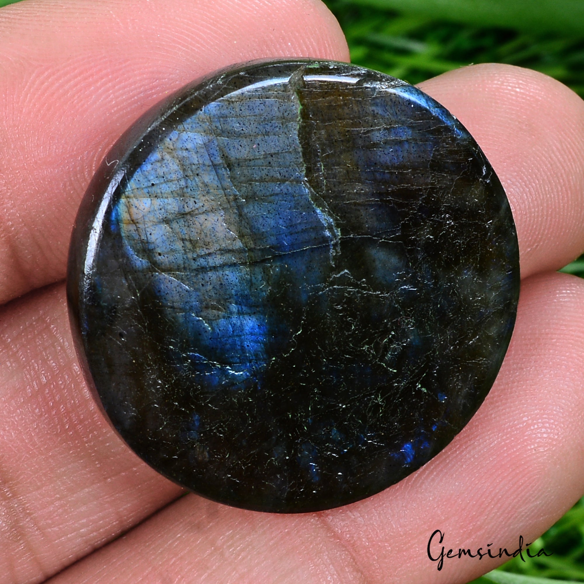 55.70 Ct Natural Untreated Blue Shine Labradorite Round Cab Certified Loose Gems
