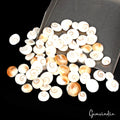 280 Ct Natural Untreated Gomti Chakra Fancy Cabochon Loose Gemstone Lot 65 Pcs
