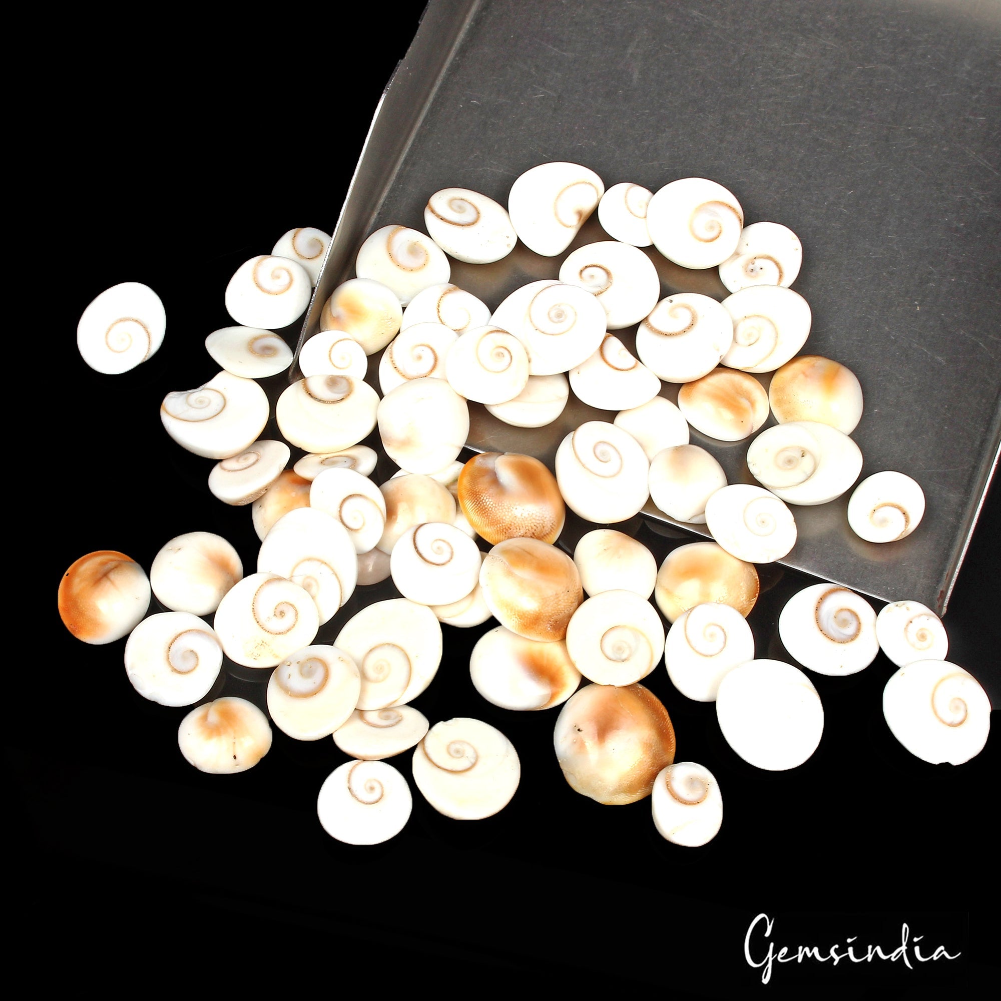 280 Ct Natural Untreated Gomti Chakra Fancy Cabochon Loose Gemstone Lot 65 Pcs