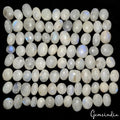 1000 Ct Natural Blue Shine Moonstone Mix Cabochon Loose Untreated Gemstones Lot